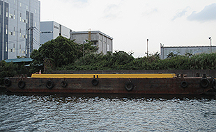 葵200号
